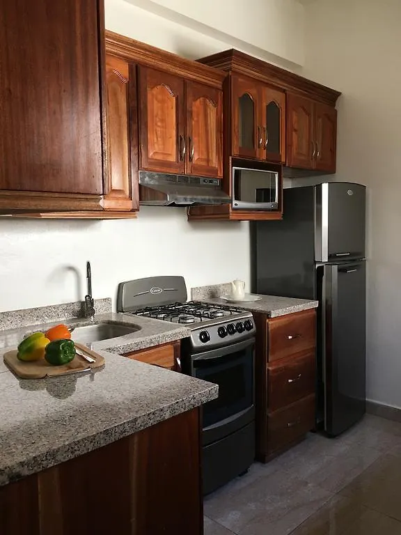 Conde Santome Colonial Apartment Santo Domingo 0*,